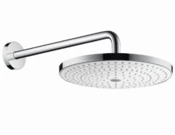 Hansgrohe Raindance Select Kopfbrause 27378400 S 300 2jet, Weiß/chrom, Mit Brausearm 390 Mm